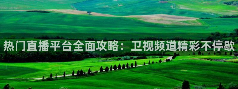 火凤足球直播免费观看全部：热门直播平台全面攻略：卫视频道精彩不停歇
